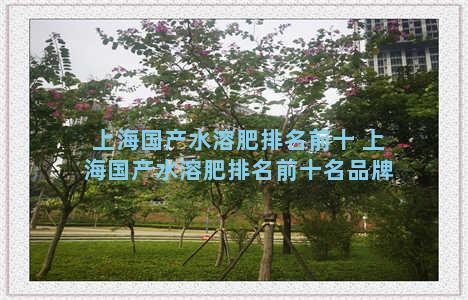 上海国产水溶肥排名前十 上海国产水溶肥排名前十名品牌